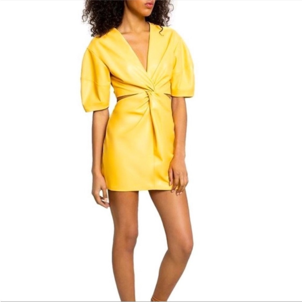 alc mini dress